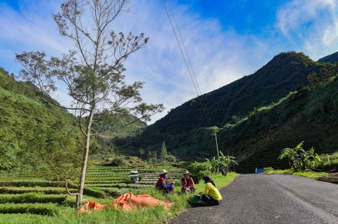 Sejumlah petani beristirahat setelah menggarap lahan di kawasan pegunungan yang dijuluki 'Swiss van Java' di Desa Wisata Sembungan, Wonosobo, Jawa Tengah, Senin (7/4/2025).