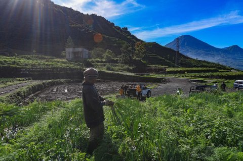 Aktivitas petani dan wisatawan di kawasan pegunungan yang dijuluki 'Swiss van Java' di Desa Wisata Sembungan, Wonosobo, Jawa Tengah, Senin (7/4/2025).