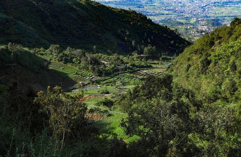 Pemandangan sawah berundak di kawasan pegunungan yang dijuluki 'Swiss van Java' di Desa Wisata Sembungan, Wonosobo, Jawa Tengah, Senin (7/4/2025).