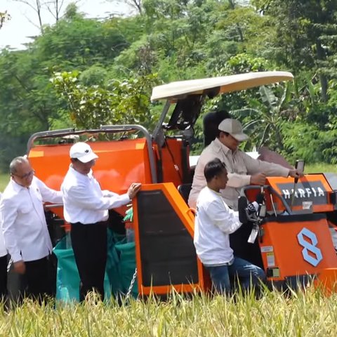 Prabowo Jajal Mesin Combine Harvester saat Panen Raya di Majalengka