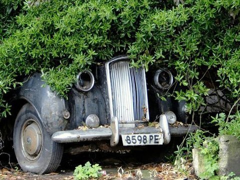 Sangat disayangkan! Kumpulan mobil mewah ini ditinggalkan hingga menjadi rongsokan.