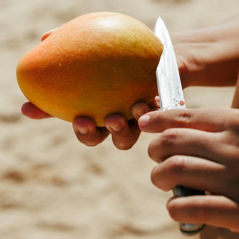Jangan Dibuang! Ketahui Kandungan Ajaib Kulit Mangga untuk Perawatan Kulit Sehat dan Glowing