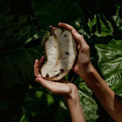 Mana yang Boleh Dimakan, Mana yang Harus Dihindari?