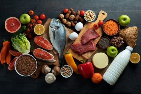 Ilustrasi Makanan Sehat Protein