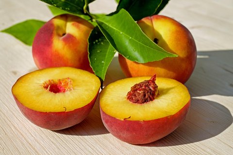 Ilustrasi Buah Peach
