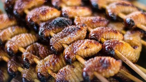 Daftar Makanan Ekstrem Berbahan Serangga di Indonesia, Berani Coba?