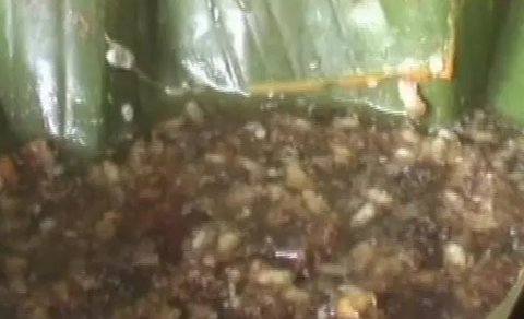 Daftar Makanan Ekstrem Berbahan Serangga di Indonesia, Berani Coba?