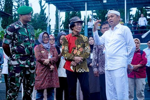 dedi mulyadi