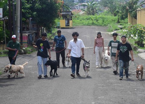 Pelatih hewan profesional memberikan pelatihan kedisiplinan pada sejumlah anjing peliharaan di playgroup khusus anjing DogueHub Playgroup di Limo, Depok, Jawa Barat, Rabu (14/5/2025).