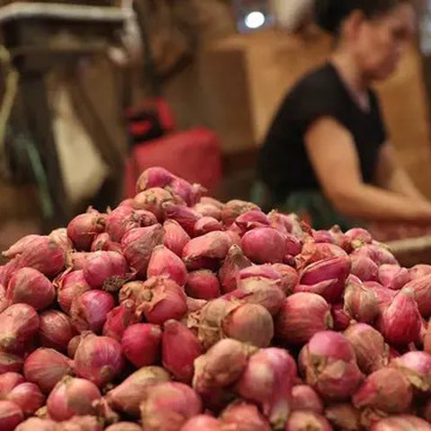 Pedagang menjajakan bawang merah di Pasar Induk Kramat Jati, Jakarta, Selasa (2/4/2019). Sejumlah pedagang di Pasar Induk Kramat Jati mengaku harga bawang merah dan bawang putih relatif stabi