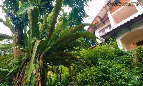 5 Potret Rumah Masa Kecil Ariel Noah yang Terbengkalai, Bangunan 3 Lantai Tawarkan Pemandangan Bandung nan Indah