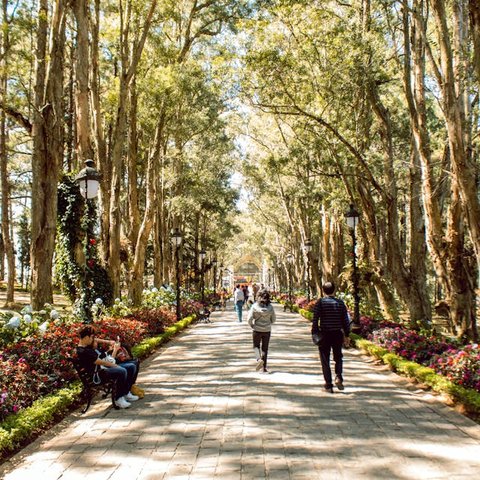 Suplemen Vitamin D Bisa Picu Masalah Kesehatan, Ini Cara Mencegahnya