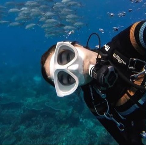 Hobi Diving, Ini 8 Potret Gisel Tunjukkan Keindahan Bawah Laut Raja Ampat