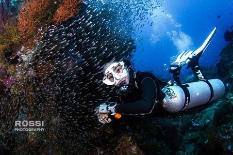 Gisela Anastasia belakangan tunjukkan aktivitasnya di Bali yang beda dari biasanya. Ia tunjukkan potret diving dan berfoto dengan ekosistem bawah laut.