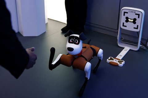 Robot  anjing Baby Alpha buatan Weilan berinteraksi dengan manusia  di Pusat Inovasi Beijing milik Humanoid Robotics Co di kawasan Industri Robotika di Beijing, China (16/05/2025).
