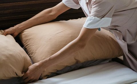 Ilustrasi Sarung Bantal Sutra