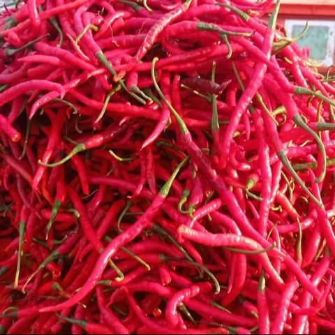 Harga cabai di Kabupaten Lebak