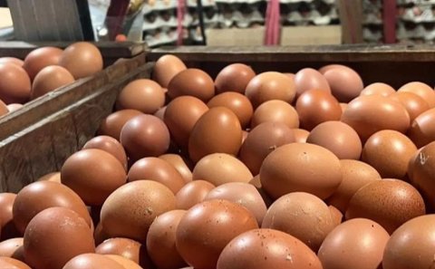 Badan Pangan Nasional (Bapanas) merilis update harga pangan terbaru; bawang merah turun, telur ayam naik, dan sejumlah komoditas lain juga mengalami fluktuasi.