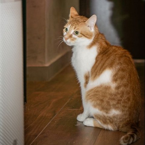 Air purifier.