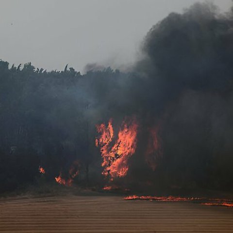 Kebakaran dahsyat di Israel
