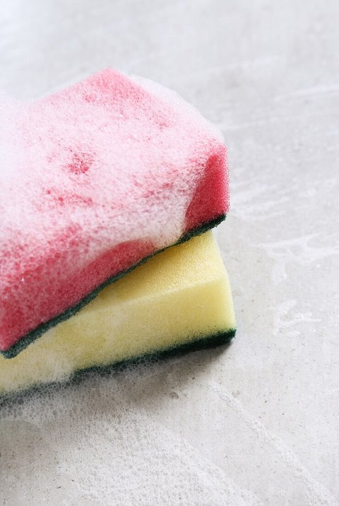 Ilustrasi Spons Cuci Piring