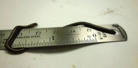 Fakta Menarik Ular Terkecil di Dunia, Ukurannya Lebih Pendek dari Pensil