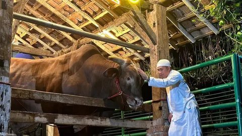 Irfan Hakim dan sapi kurbannya, Wariso. (Instagram/ irfanhakim75)