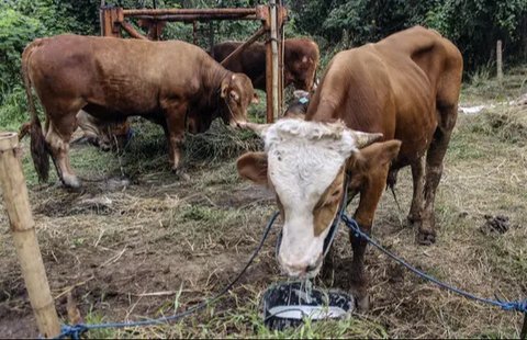 Ustadz Adi Hidayat atau UAH. (Foto: YouTube Adi Hidayat Official)