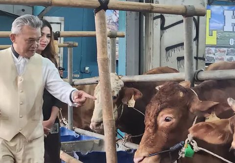 Sejumlah hewan kurban yang dijual salah satu pedagang di Kota Depok jelang hari raya Idul Adha. (Liputan6.com/Dicky Agung Prihanto)