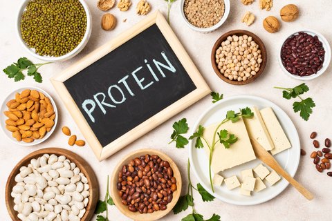 Ilustrasi Protein Nabati