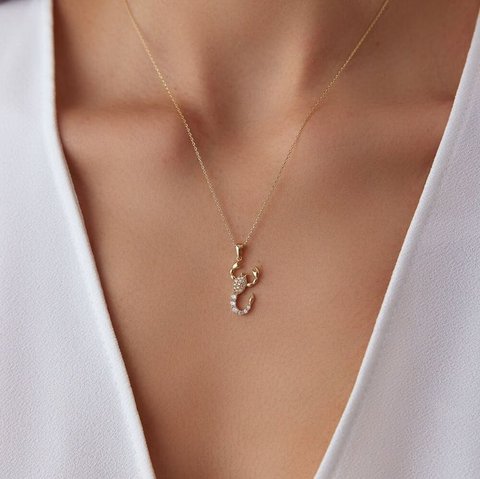 Ilustrasi Kalung Liontin Zodiak Emas
