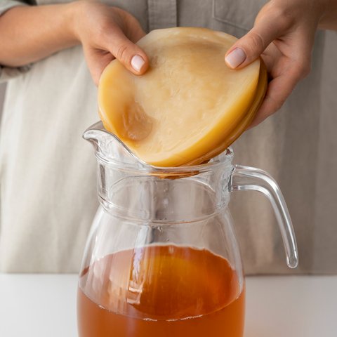 Ilustrasi Kombucha