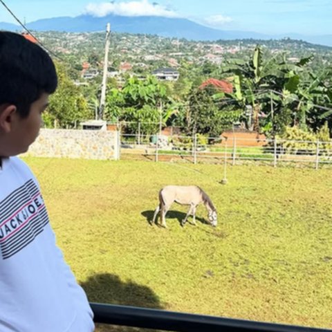 5 Potret Vila Baru Shireen Sungkar di Puncak Bogor, Ada Kandang Kuda - Suasana Menenangkan Seperti di Swiss