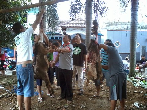 Ilustrasi Penyembelihan Hewan Kurban