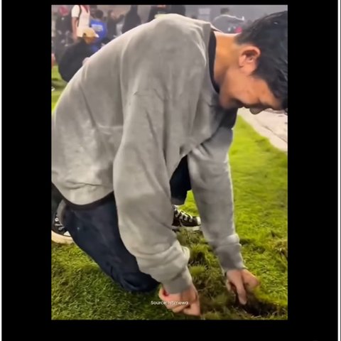 Bobotoh congkel rumput stadion GBLA