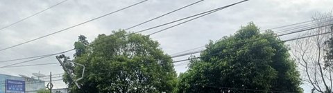 PT PLN ULP Baturaja bergerak cepat memperbaiki jaringan listrik yang terputus akibat tiang listrik patah di Simpang 3 Bakung setelah ditabrak truk, menyebabkan pemadaman di beberapa wilayah Kota Baturaja.