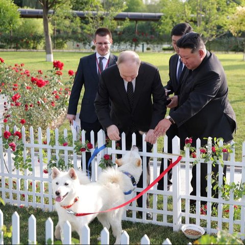 Validimir Putin Dapat Hadiah Anjing