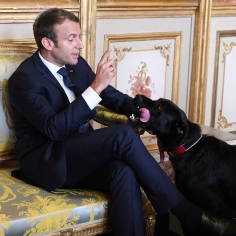 Emmanuel Macron dan Anjing Adopsi Bernama Nemo
