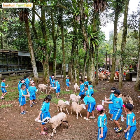Kuntum Farmfield
