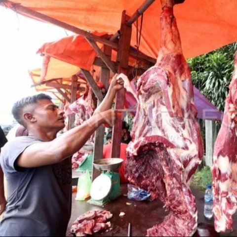 Peneliti CIPS menyoroti dampak positif penghapusan kuota impor daging sapi terhadap ketersediaan dan harga di pasaran, mendorong revisi regulasi terkait.