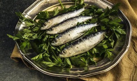 ilustrasi sarden (sumber: pixabay)