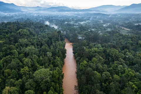 Foto udara menunjukkan sungai yang menurut penduduk setempat telah terkontaminasi oleh penambangan nikel di Halmahera Tengah, Maluku Utara (14/04/2025).