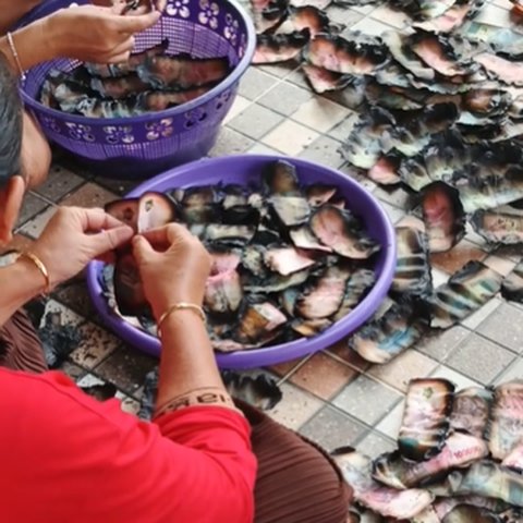 Penampakan Tumpukkan Uang jadi 'Korban' Kebakaran di Rumah, Kondisinya Bikin Nyesek