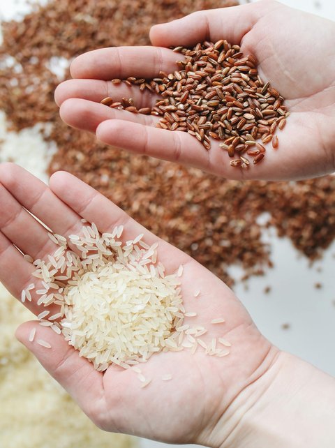 Ilustrasi Nasi Putih dan Nasi Merah