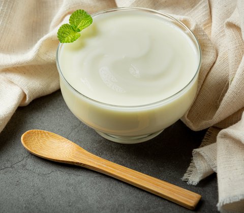 Ilustrasi Greek Yogurt