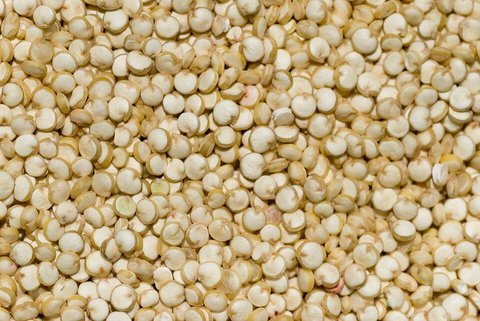 Ilustrasi Quinoa