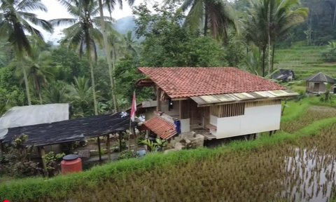 Damai dan Nyaman, Pegawai BUMN Pilih Hidup di Tengan Sawah Sambil Buka Warung Kopi