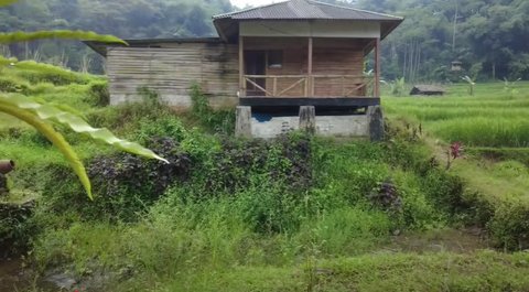 Damai dan Nyaman, Pegawai BUMN Pilih Hidup di Tengan Sawah Sambil Buka Warung Kopi