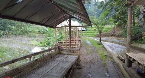 Damai dan Nyaman, Pegawai BUMN Pilih Hidup di Tengan Sawah Sambil Buka Warung Kopi