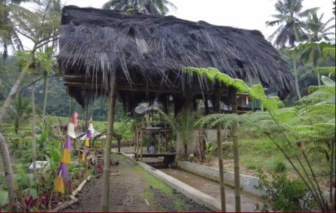 Damai dan Nyaman, Pegawai BUMN Pilih Hidup di Tengan Sawah Sambil Buka Warung Kopi